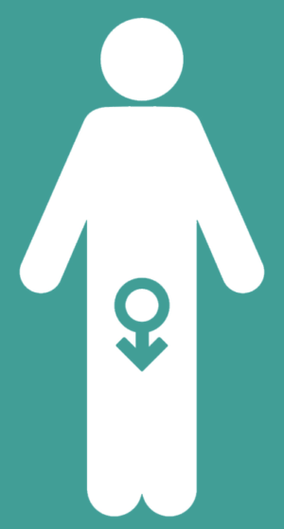 Impuissance masculine et augmentation d'un membre